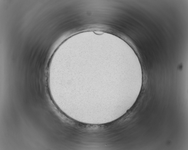 X0000115631099200912221244