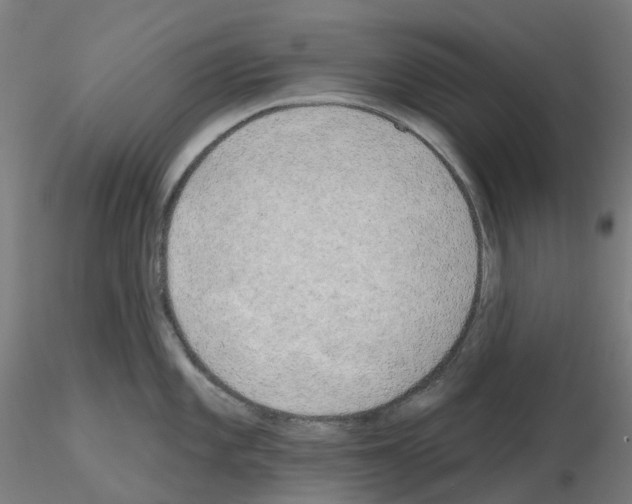 X0000115631101200912221244