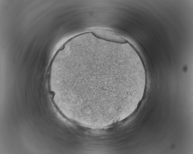 X0000115631102200912221244