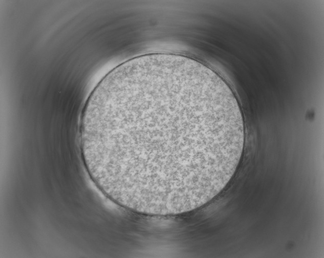 X0000115631103200912221244
