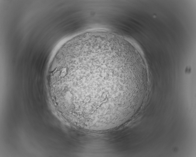 X0000115631104200912221244