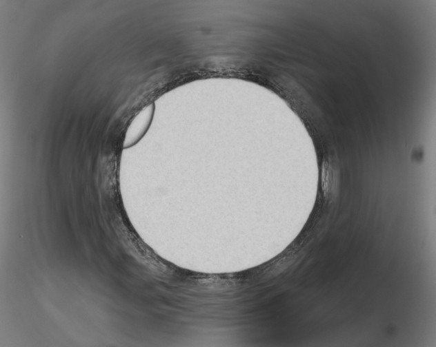 X0000115631107200912221243