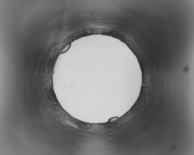 X0000115631109200912221243
