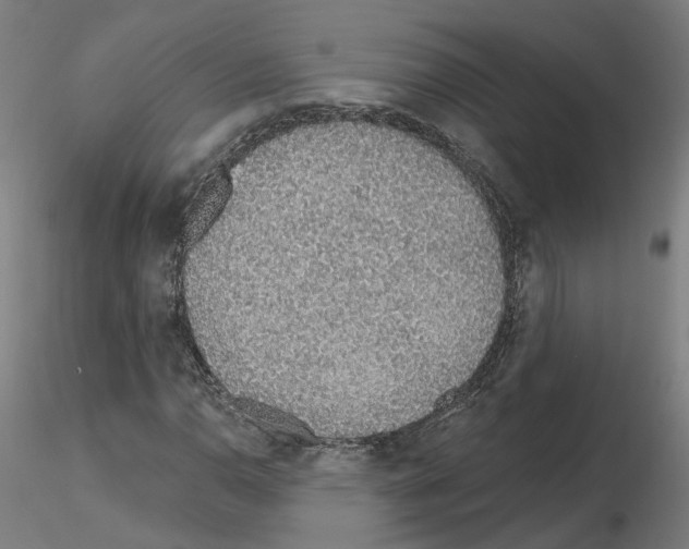 X0000115631110200912221243