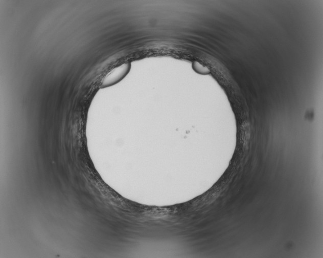 X0000115631111200912221243