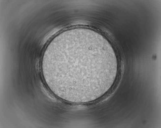 X0000115631113200912221243