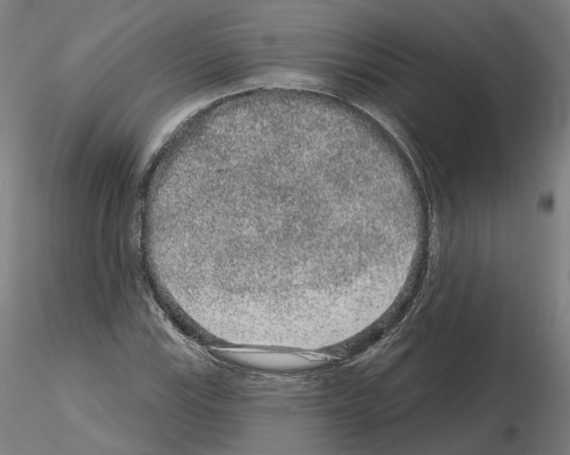 X0000115631115200912221243
