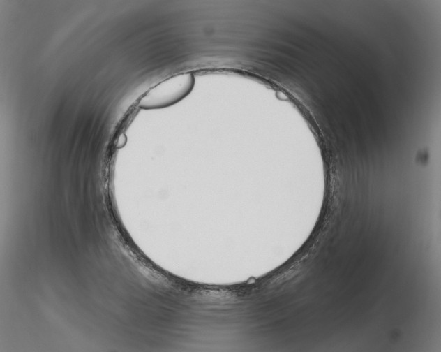 X0000115631119200912221243