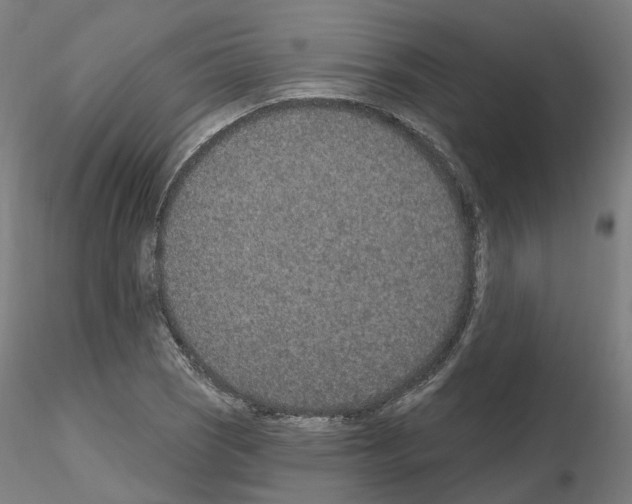 X0000115631121200912221243