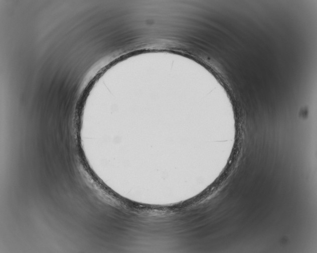 X0000115631122200912221243