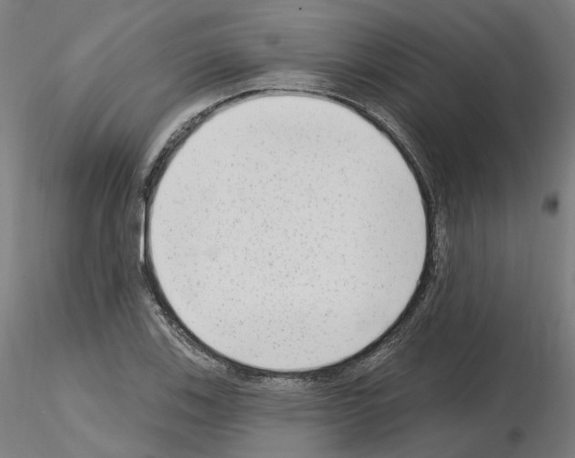 X0000115631123200912221243