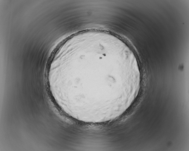 X0000115631125200912221243