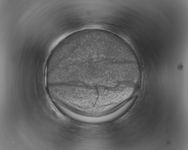 X0000115631127200912221243