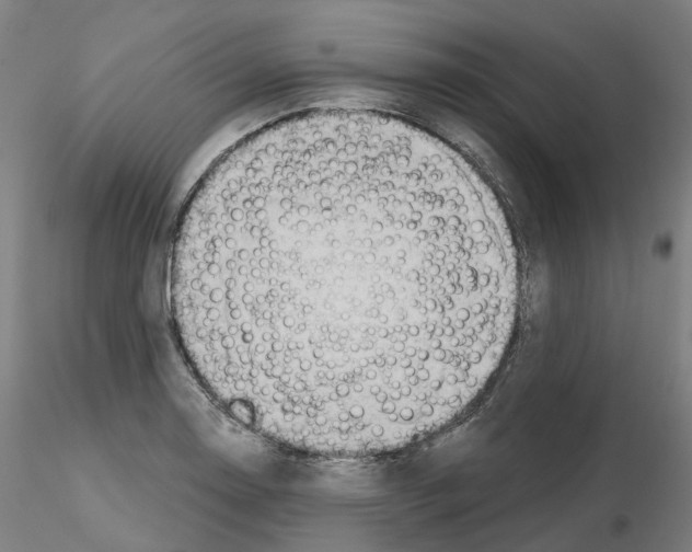 X0000115631130200912221243