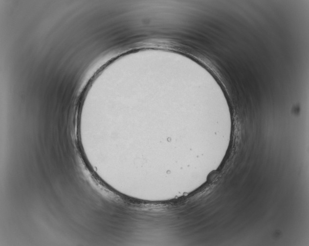 X0000115631131200912221243
