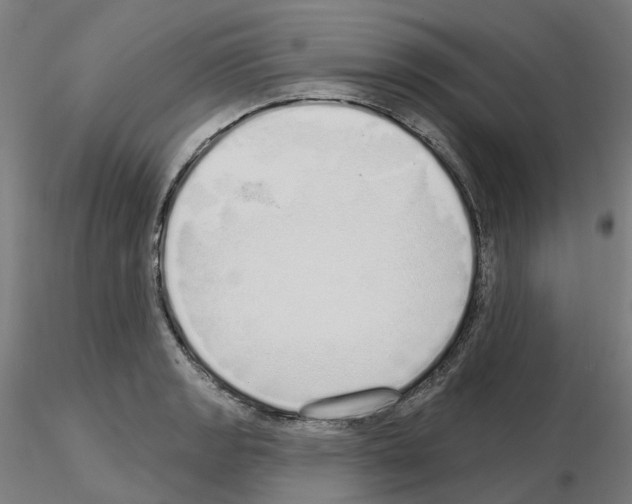 X0000115631133200912221243