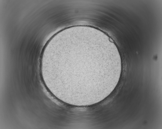 X0000115631134200912221243