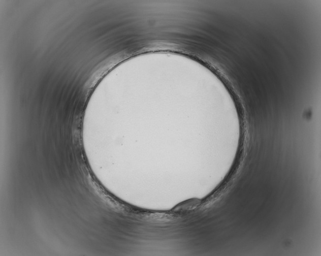 X0000115631137200912221243