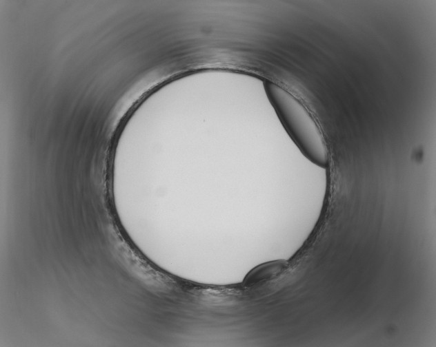 X0000115631138200912221244
