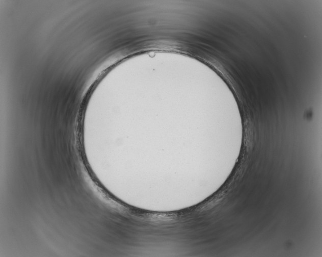 X0000115631139200912221244