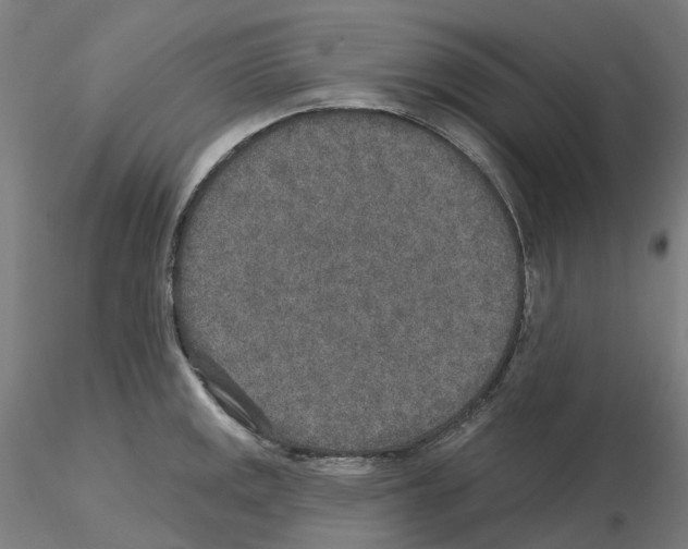 X0000115631141200912221244