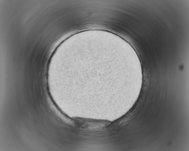 X0000115631142200912221244
