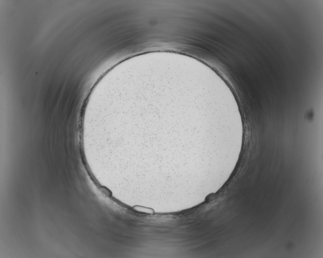 X0000115631143200912221244