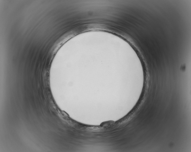 X0000115631145200912221244