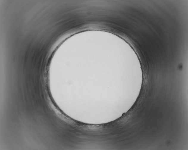 X0000115631147200912221244