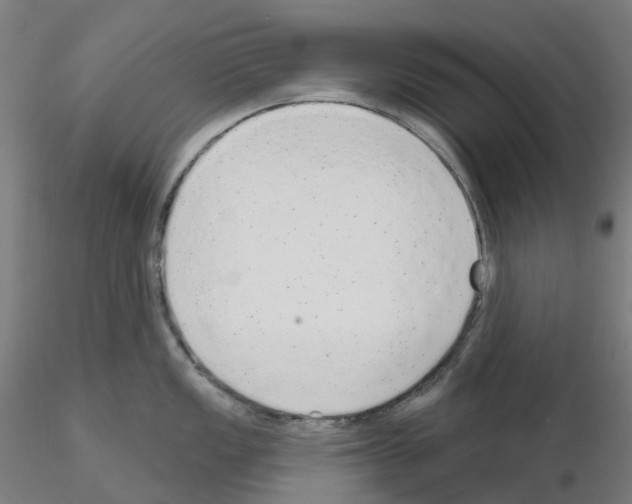 X0000115631149200912221244