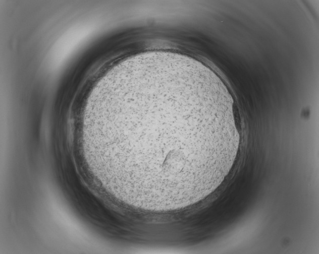 X0000115631151200912221244