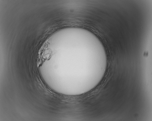 X0000115631153200912221243