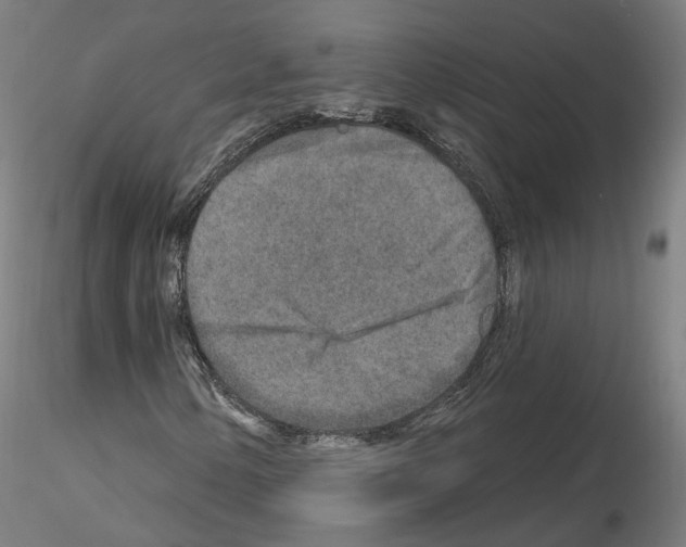 X0000115631154200912221243