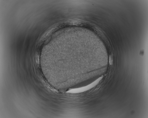 X0000115631155200912221243