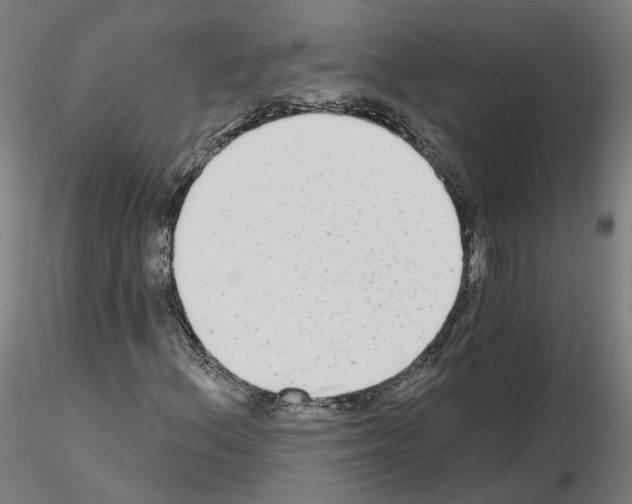 X0000115631156200912221243