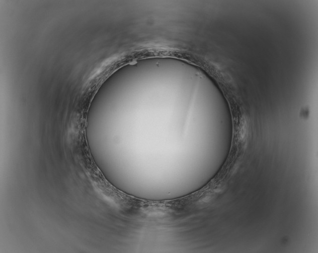 X0000115631157200912221243