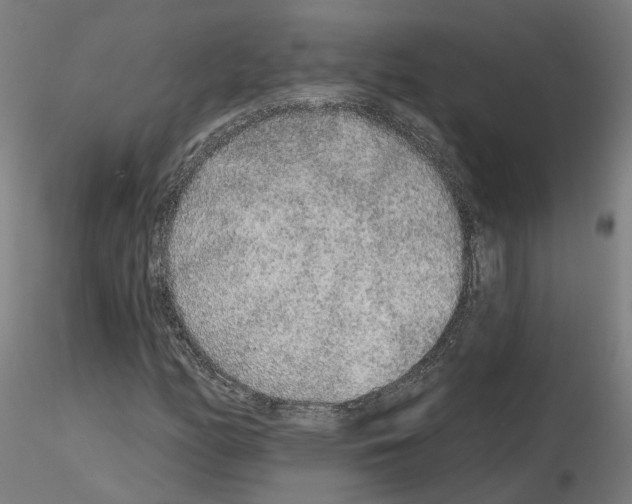 X0000115631158200912221243