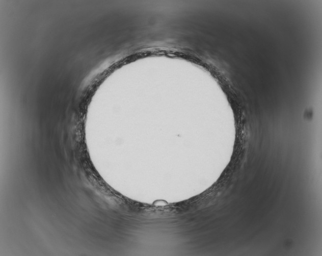 X0000115631159200912221243