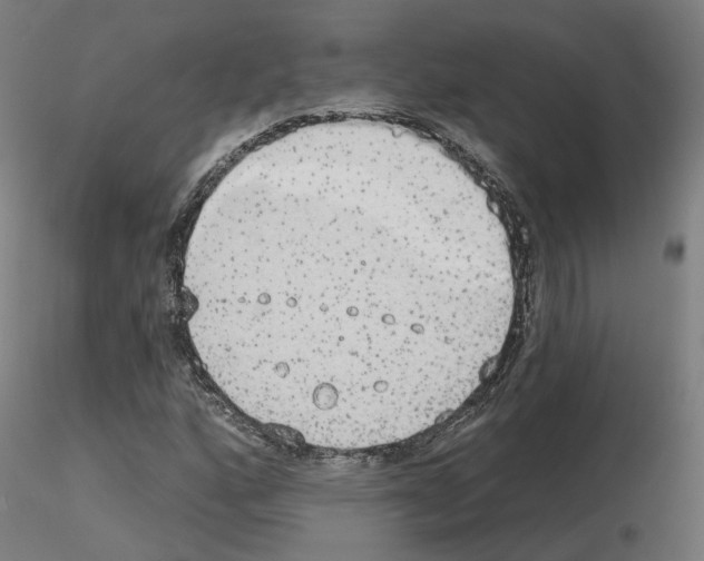 X0000115631160200912221243