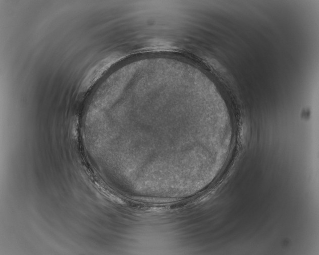 X0000115631161200912221243