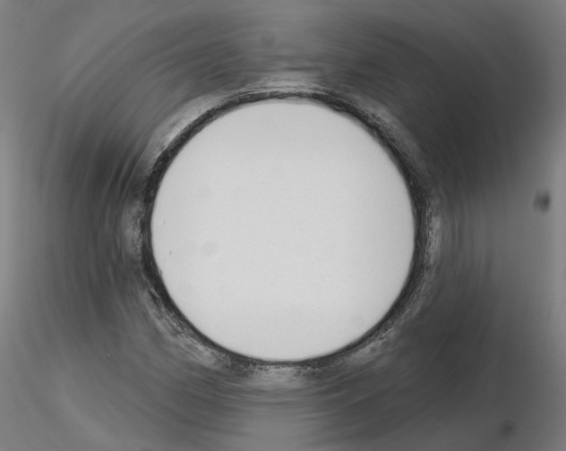 X0000115631162200912221243