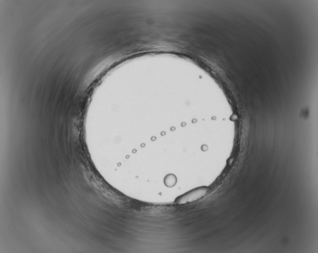 X0000115631163200912221243