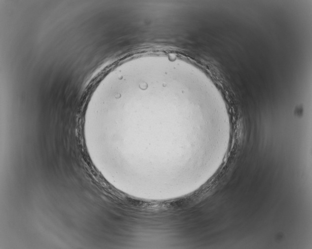 X0000115631165200912221243