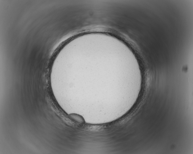 X0000115631166200912221243