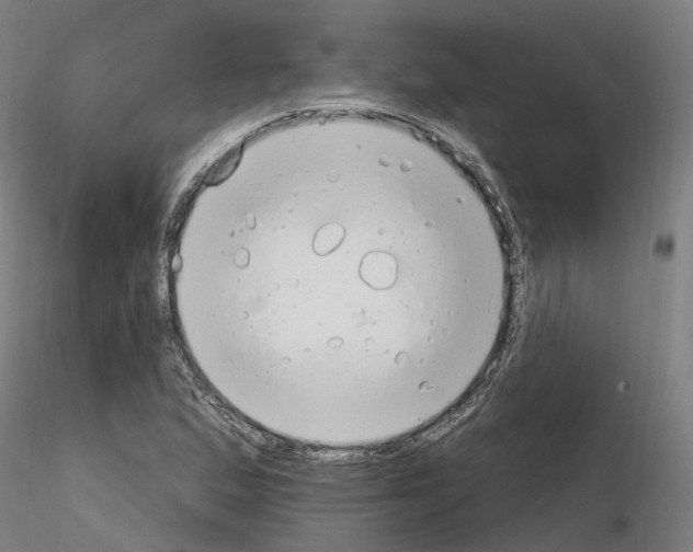 X0000115631167200912221243