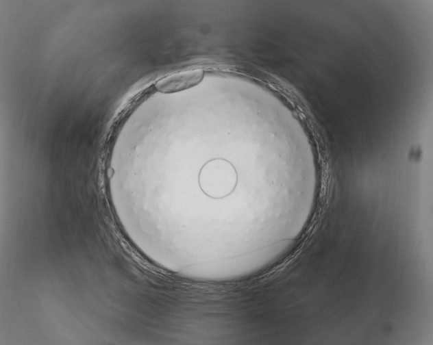 X0000115631168200912221243