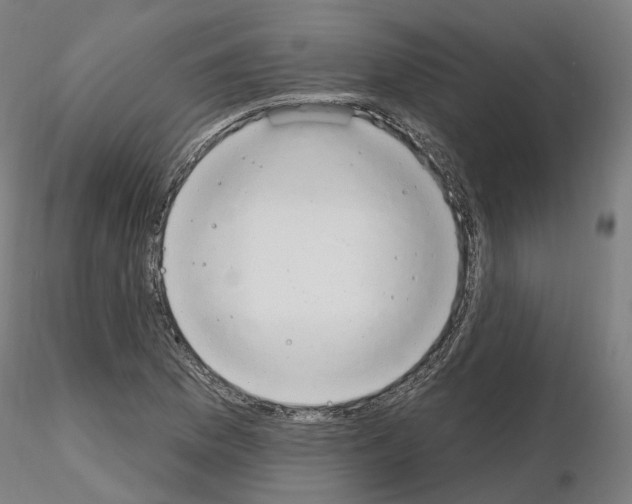 X0000115631169200912221243