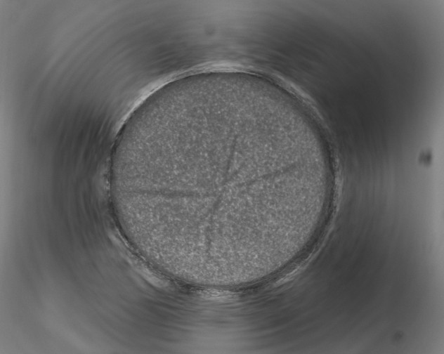 X0000115631170200912221243