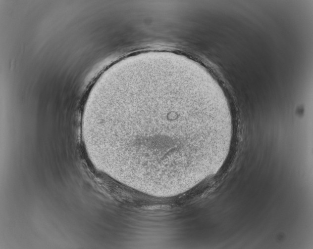 X0000115631171200912221243