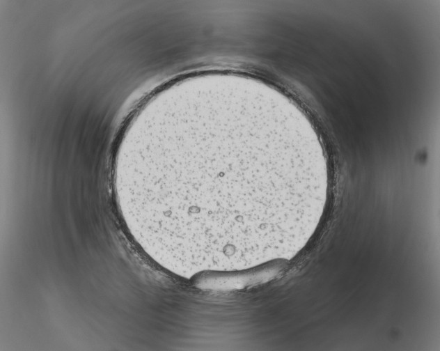 X0000115631172200912221243